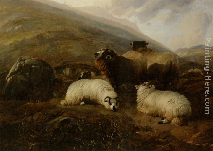 Sheep in the Highlands painting - Thomas Sidney Cooper Sheep in the Highlands art painting